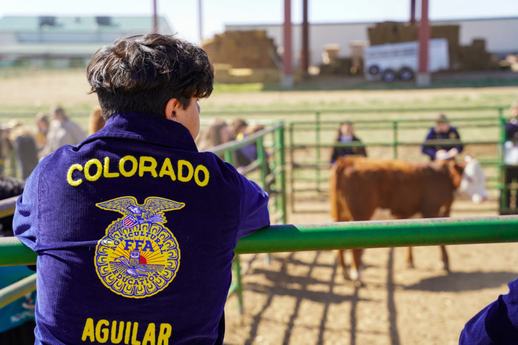 Annual Livestock Show